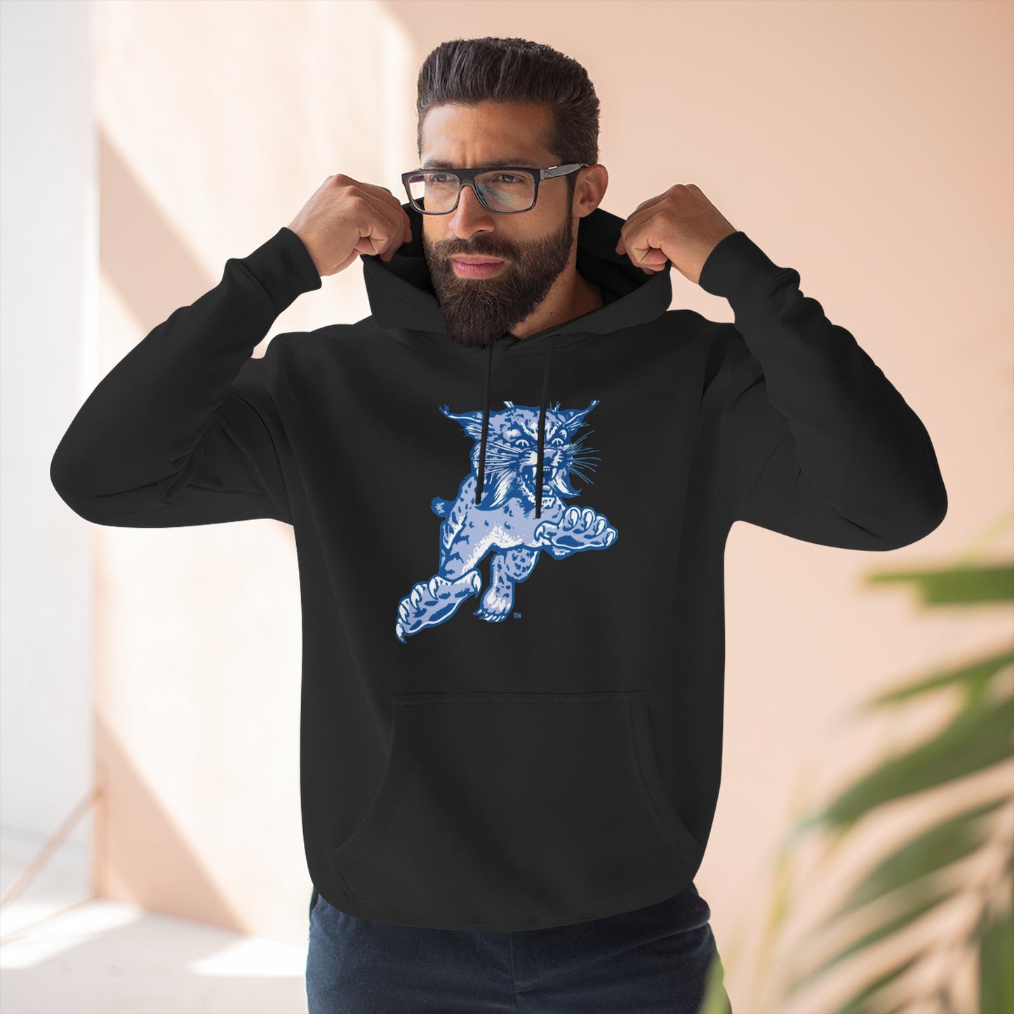 'Kentucky Wildcats The Wildcat' Three-Panel Fleece Hoodie