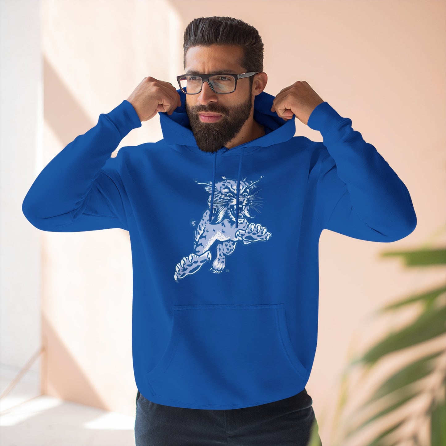 'Kentucky Wildcats The Wildcat' Three-Panel Fleece Hoodie