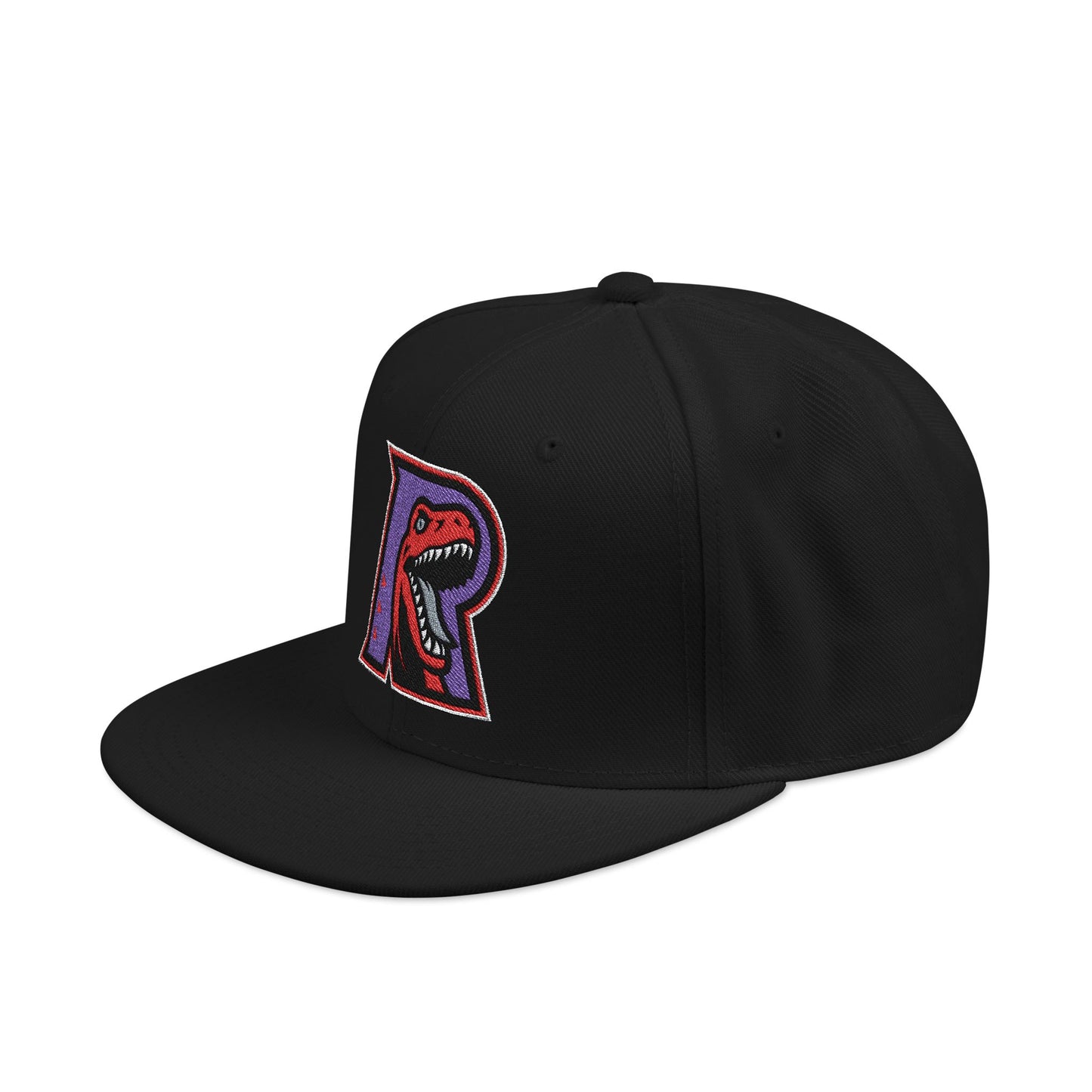 Loco Fits "NBA Toronto Raptors R Concept Logo" Snapback (Embroidery)