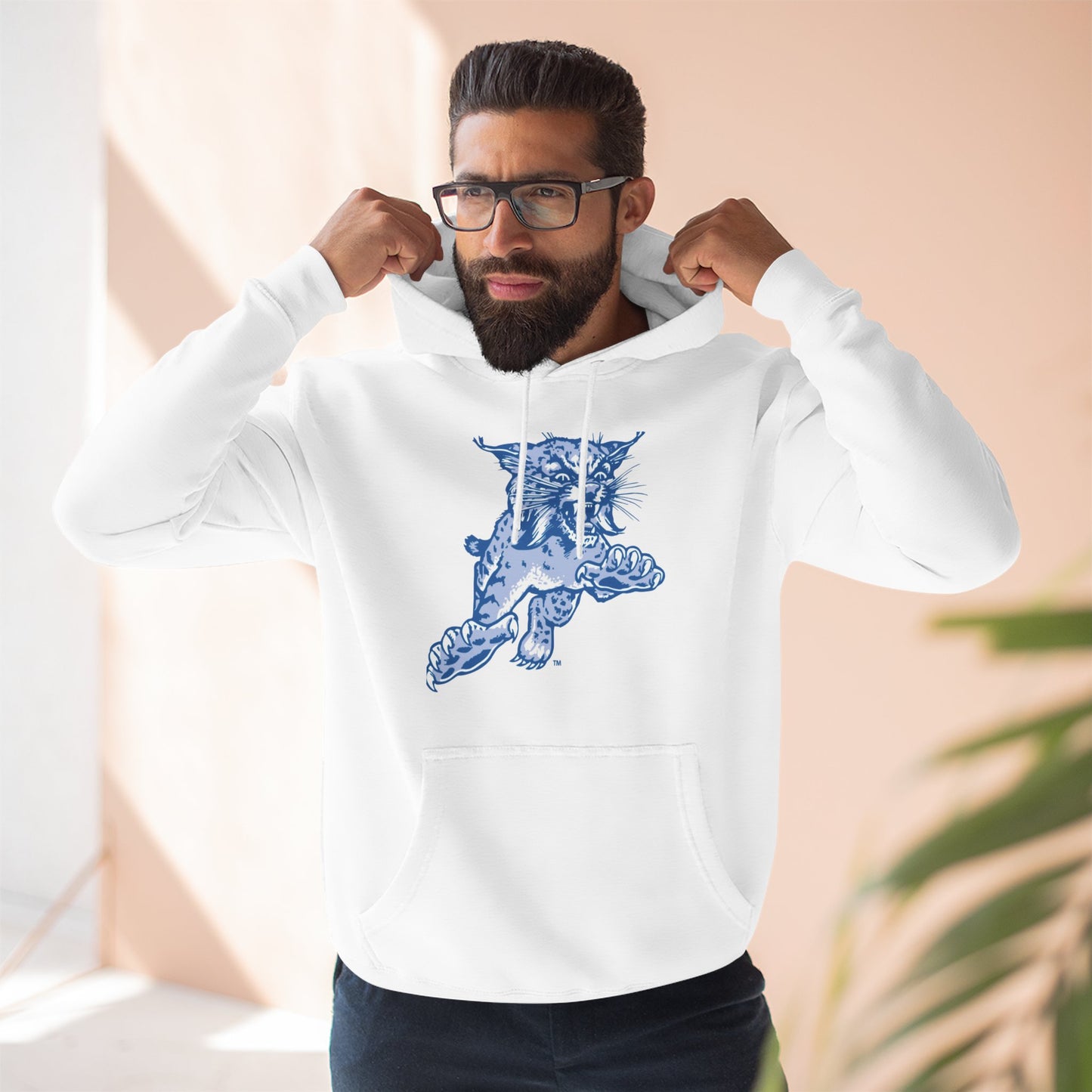 'Kentucky Wildcats The Wildcat' Three-Panel Fleece Hoodie