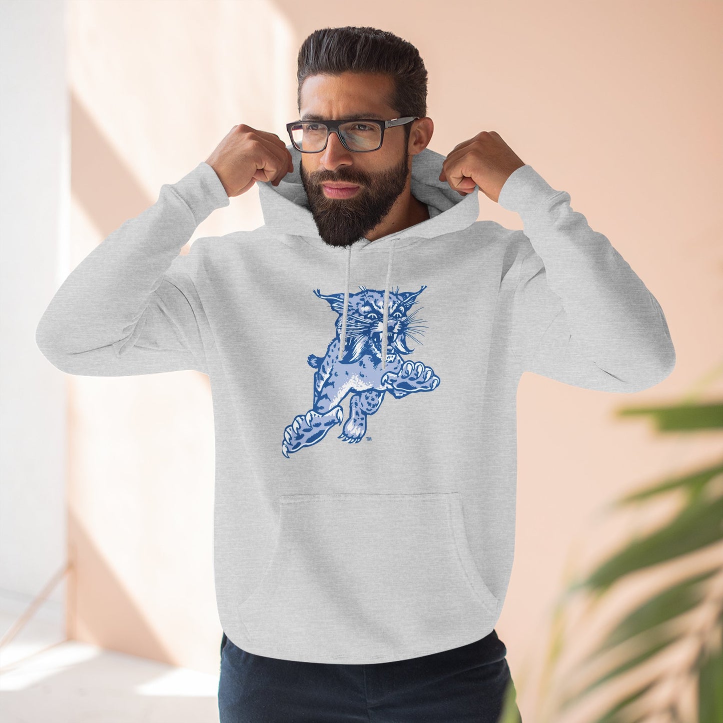 'Kentucky Wildcats The Wildcat' Three-Panel Fleece Hoodie