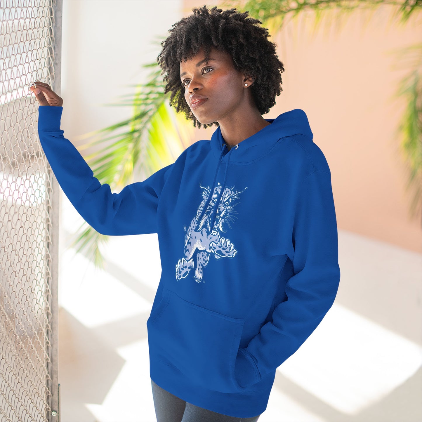'Kentucky Wildcats The Wildcat' Three-Panel Fleece Hoodie