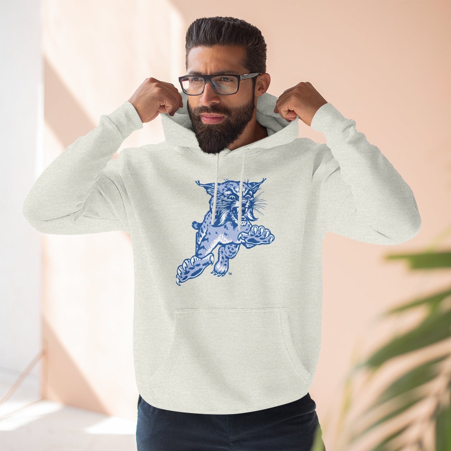 'Kentucky Wildcats The Wildcat' Three-Panel Fleece Hoodie